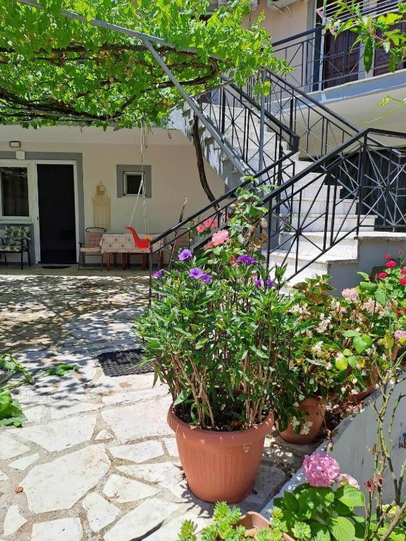 Nikiana Family Apartment Exterior foto